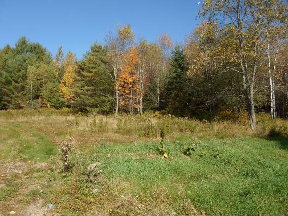 39 Lee Hill Road Stark, NH 03582 - Photo 10 of 34