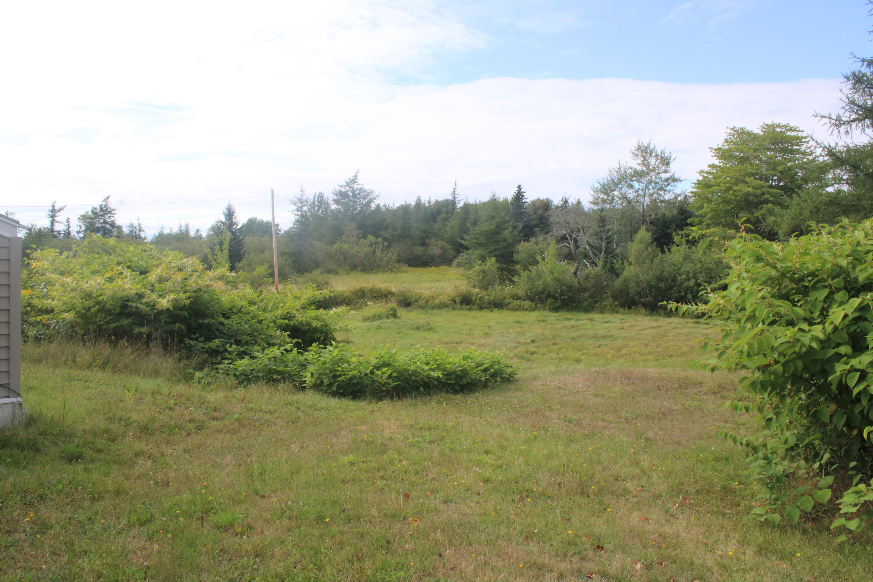 29 Davis Road Machias, ME 04654 - Photo 3 of 38 Backyard