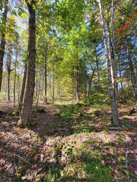 Lot 7 Brown Road Oakfield, ME 04763 - Photo 9 of 21 Resized_20240916_141311_1726579175536