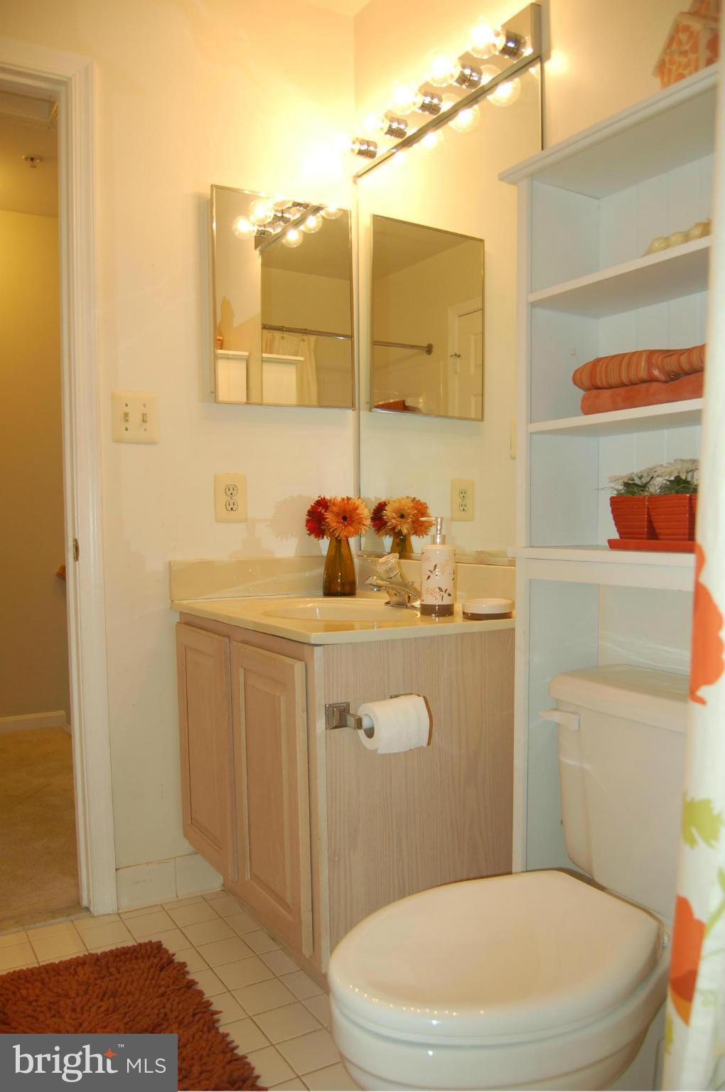 539 Tschiffely Square Road Gaithersburg, MD 20878 - Photo 14 of 30 Bath