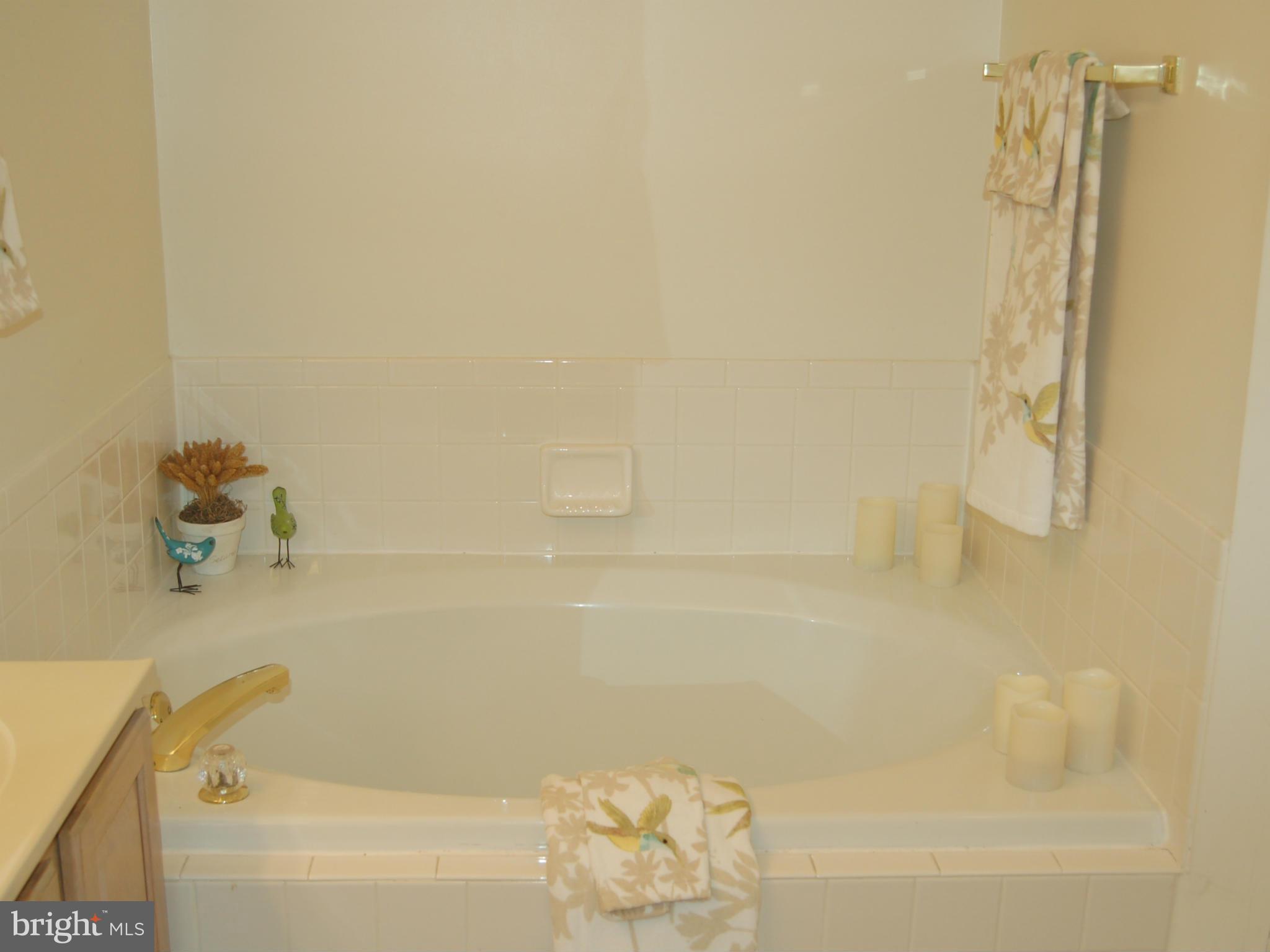 539 Tschiffely Square Road Gaithersburg, MD 20878 - Photo 18 of 30 Bath (Master)