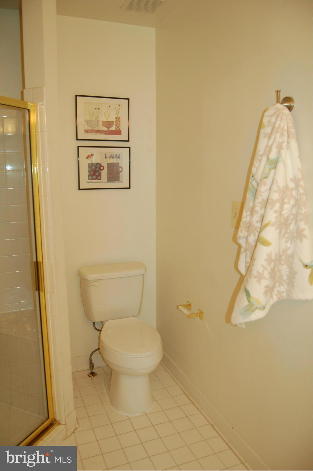539 Tschiffely Square Road Gaithersburg, MD 20878 - Photo 19 of 30 Bath (Master)