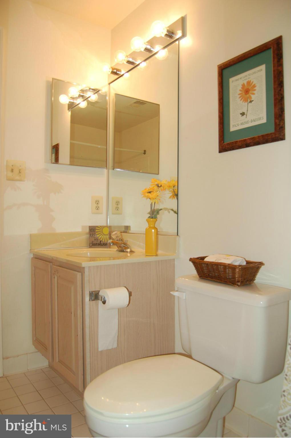 539 Tschiffely Square Road Gaithersburg, MD 20878 - Photo 21 of 30 Bath