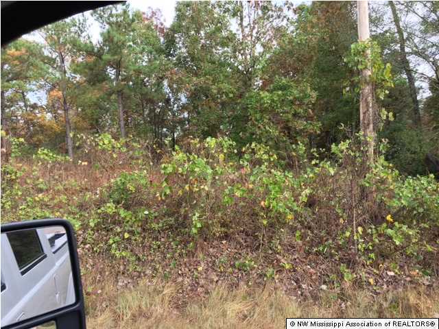 6816 Hernando Road Byhalia, MS 38611 - Photo 3 of 4 Additional Photo