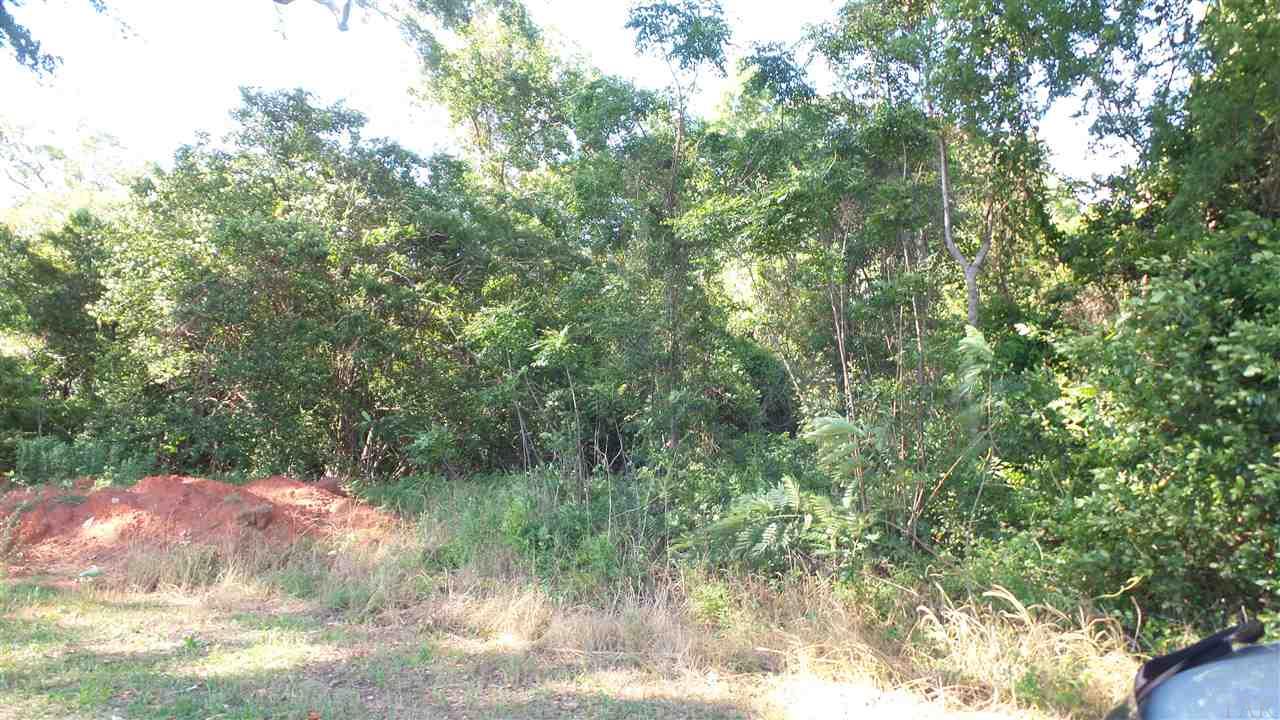 0 Mt Carmel Road Jay, FL 32565 - Photo 1 of 10