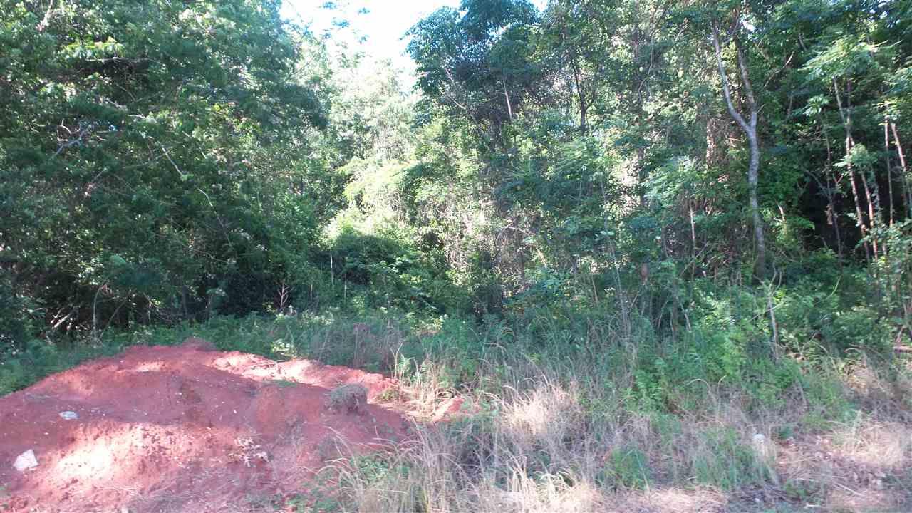 0 Mt Carmel Road Jay, FL 32565 - Photo 2 of 10