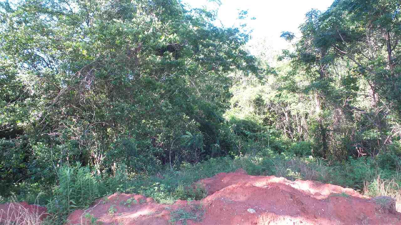 0 Mt Carmel Road Jay, FL 32565 - Photo 3 of 10