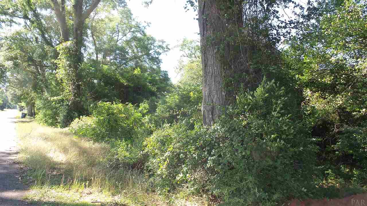 0 Mt Carmel Road Jay, FL 32565 - Photo 4 of 10