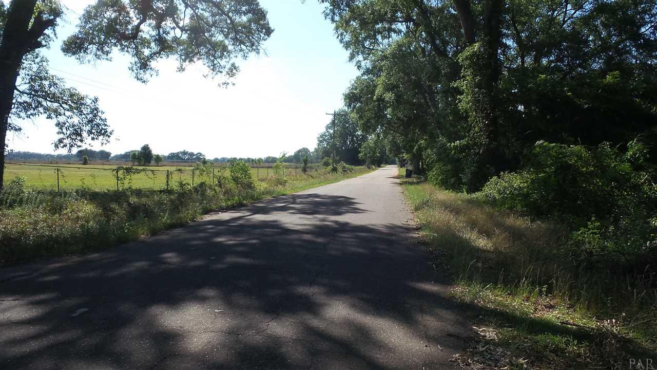0 Mt Carmel Road Jay, FL 32565 - Photo 6 of 10