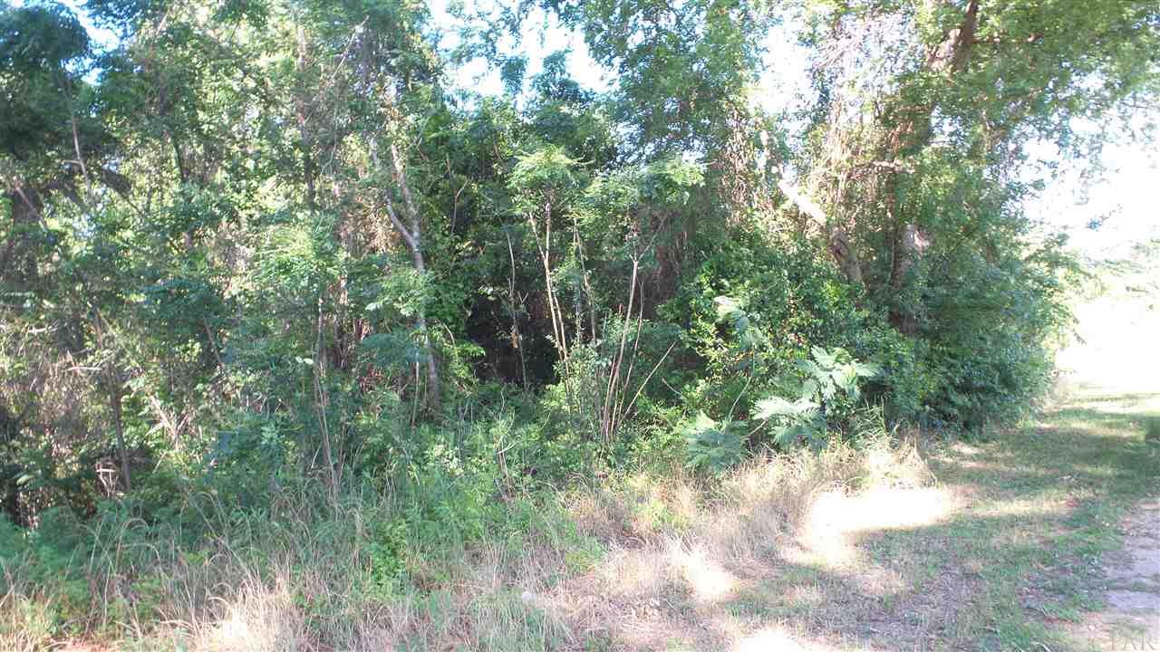 0 Mt Carmel Road Jay, FL 32565 - Photo 7 of 10