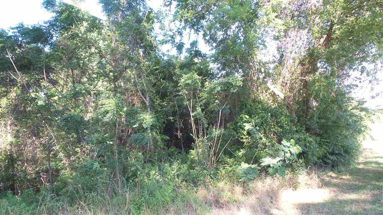 0 Mt Carmel Road Jay, FL 32565 - Photo 8 of 10