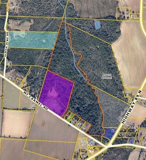 0 Mt Carmel Road Jay, FL 32565 - Photo 10 of 10