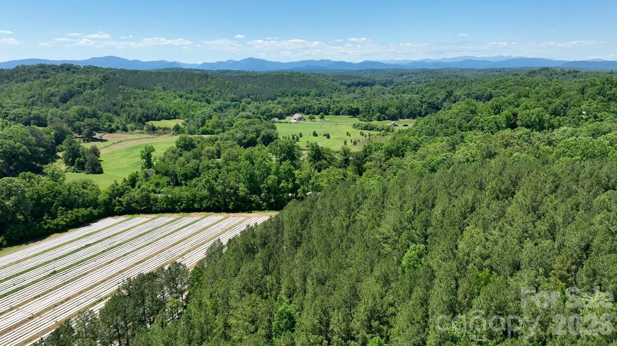 99999 Tryon Road Rutherfordton, NC 28139 - Photo 18 of 25