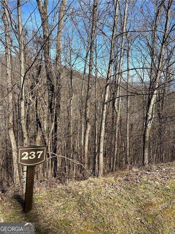 0 Andes Ridge Talking Rock, GA 30175 - Photo 1 of 1 a view of a yard with large trees