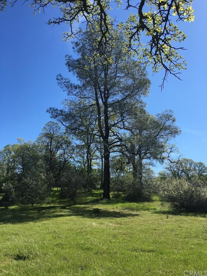 6800 Rancheria Creek Road Midpines, CA 95345 - Photo 1 of 1 Gallery Image 1