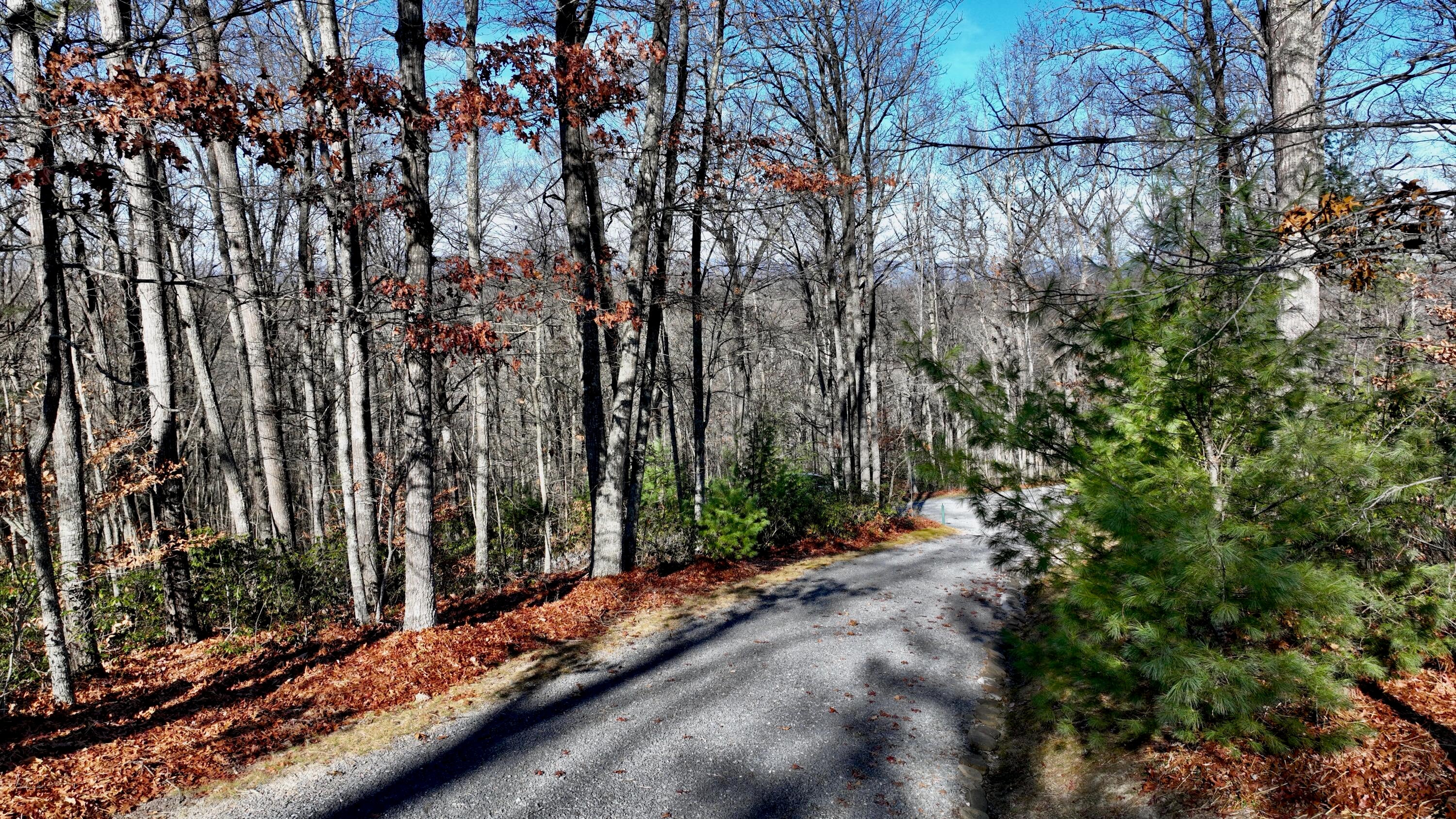 818 Anthony Ridge Road Frankford, WV 24938 - Photo 73 of 88 Gallery Image 73