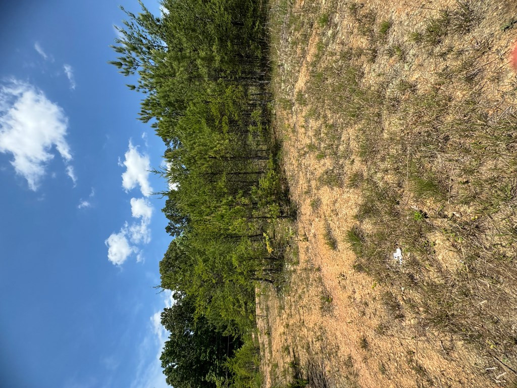 0 West U.S. Highway 64 Murphy, NC 28906 - Photo 20 of 21