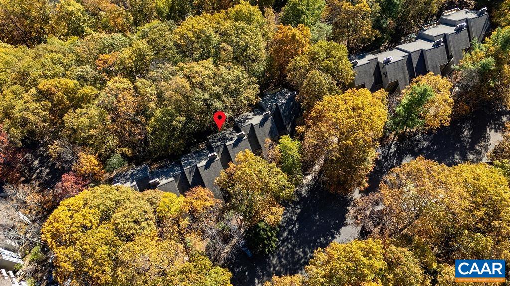411 Three Ridges Roseland, VA 22967 - Photo 16 of 27 a view of a garden with flowers