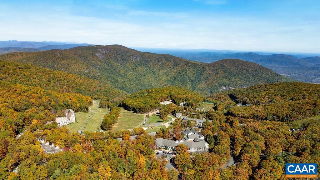 411 Three Ridges Roseland, VA 22967 - Photo 26 of 27