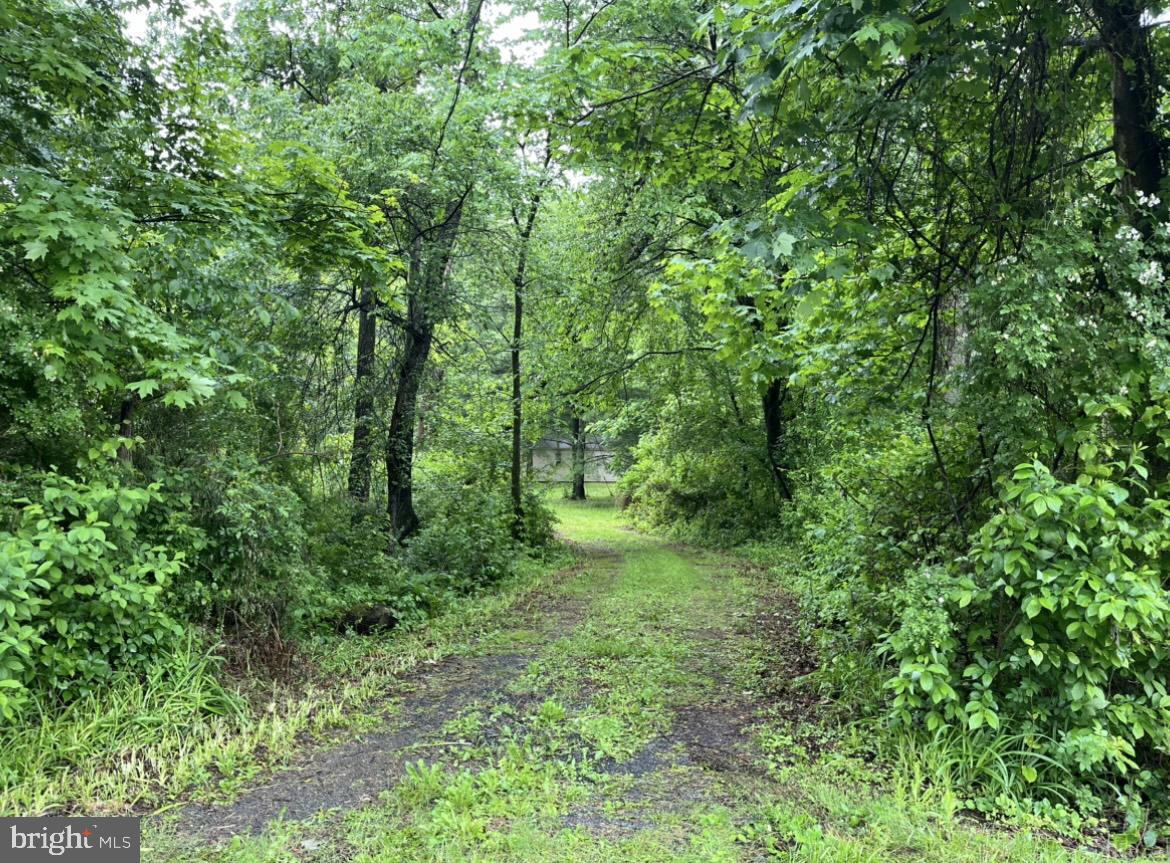 1374 McCabe Road Landisburg, PA 17040 - Photo 16 of 19 Gallery Image 16