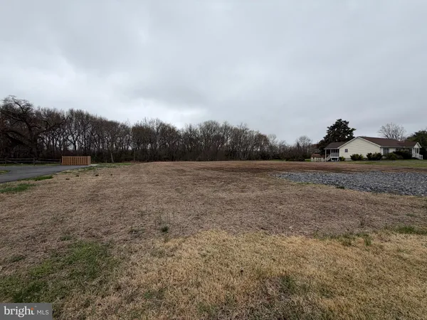 a view of a field