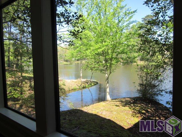10650 Morning View Court Baton Rouge, LA 70817 - Photo 14 of 48 View from foyer to lake