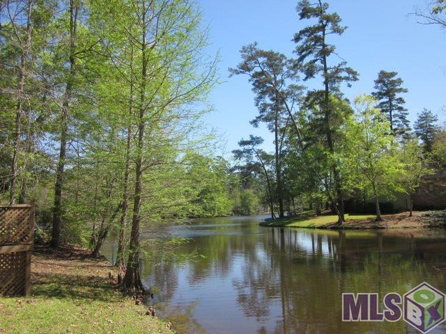 10650 Morning View Court Baton Rouge, LA 70817 - Photo 47 of 48 Side view to lake