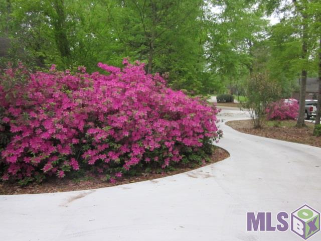 10650 Morning View Court Baton Rouge, LA 70817 - Photo 6 of 48 Front driveway