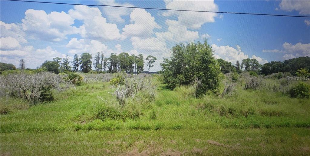 7511 Florida Boys Ranch Road Groveland, FL 34736 - Photo 1 of 1 Gallery Image 1