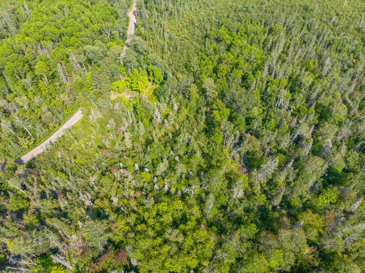 Lot # Mallard Landing Road Presque Isle, WI 54557 - Photo 22 of 30 Gallery Image 22