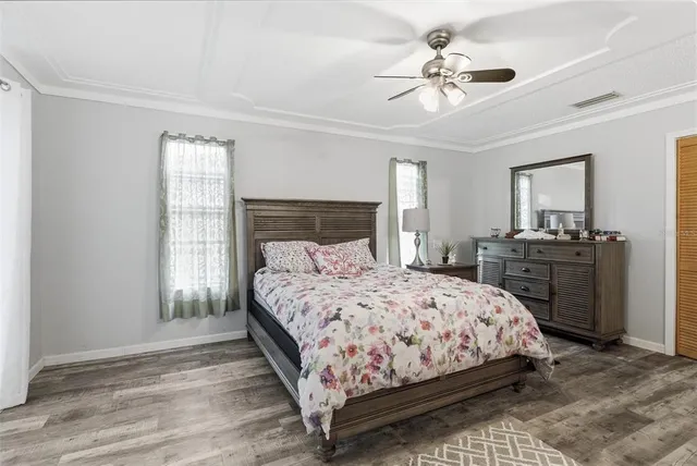 a view of a backyard with plants and a potted plant