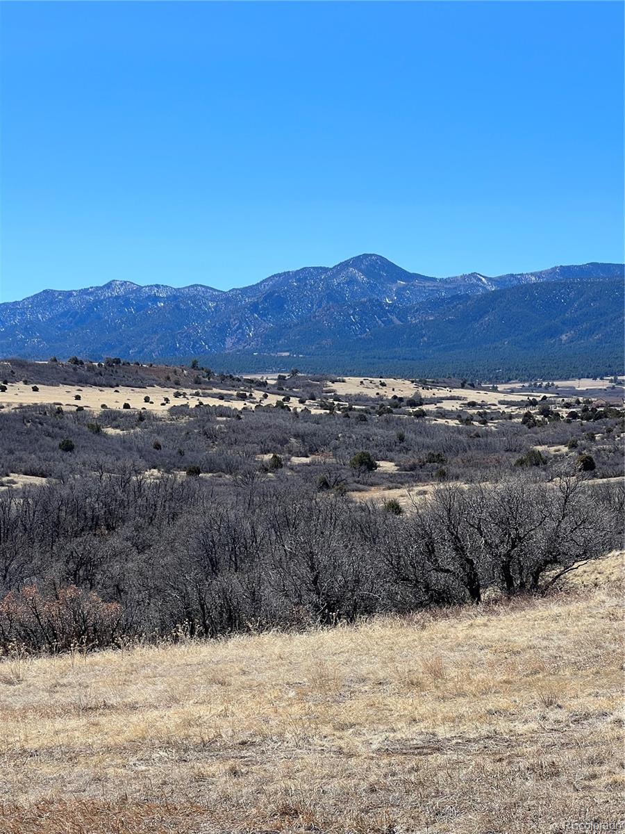 Lot 381 Big Bend Drive Rye, CO 81069 - Photo 5 of 7 Gallery Image 5