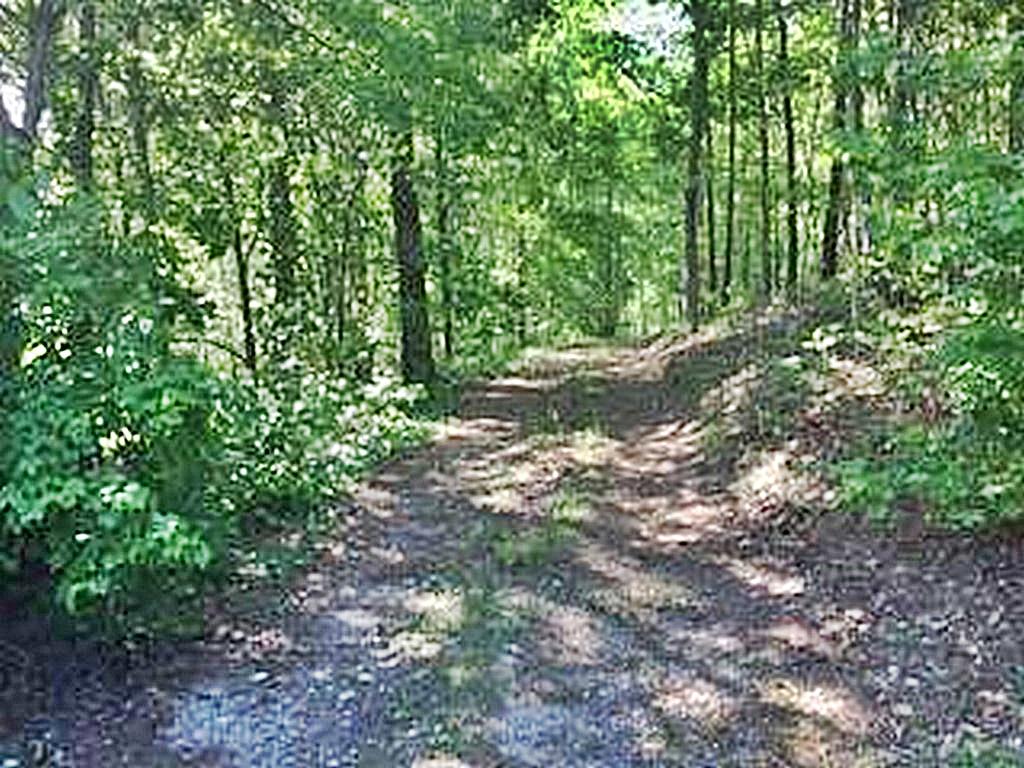 1783 Wasson Road Ten Mile, TN 37880 - Photo 1 of 12 67531