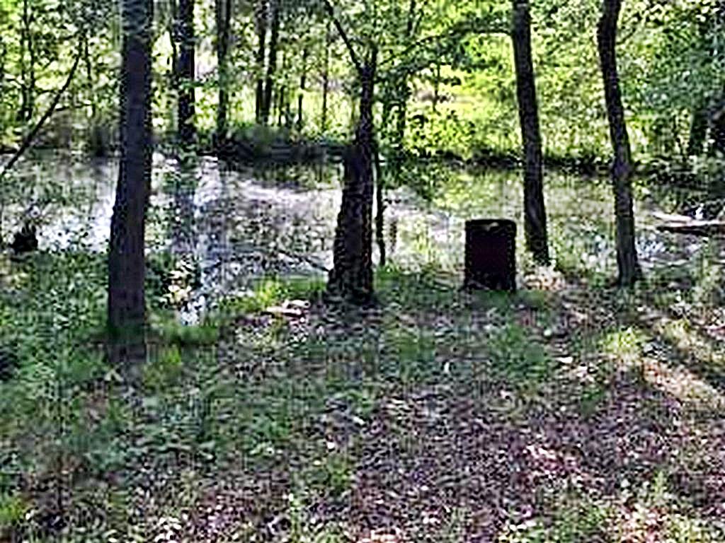 1783 Wasson Road Ten Mile, TN 37880 - Photo 2 of 12 67522