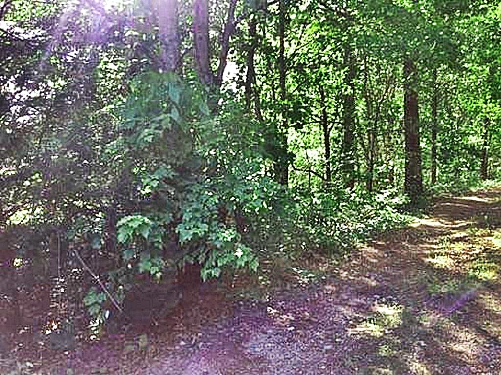 1783 Wasson Road Ten Mile, TN 37880 - Photo 11 of 12 67530