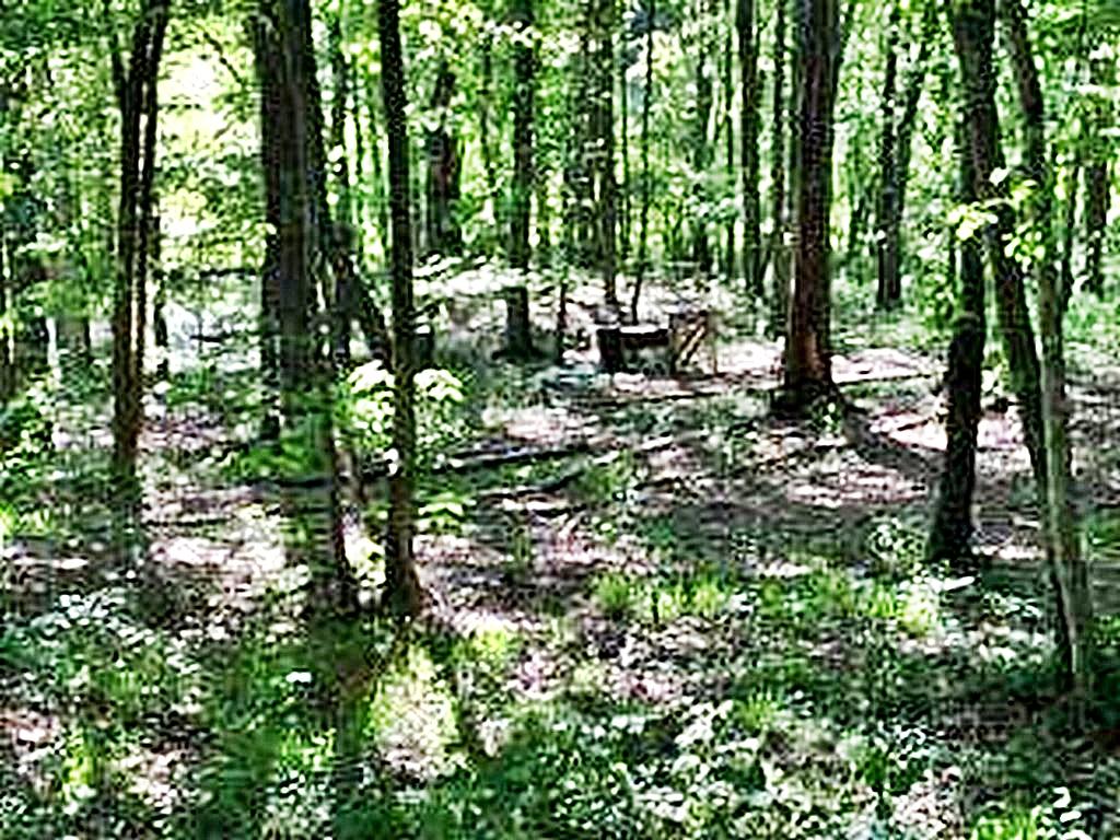 1783 Wasson Road Ten Mile, TN 37880 - Photo 5 of 12 67524