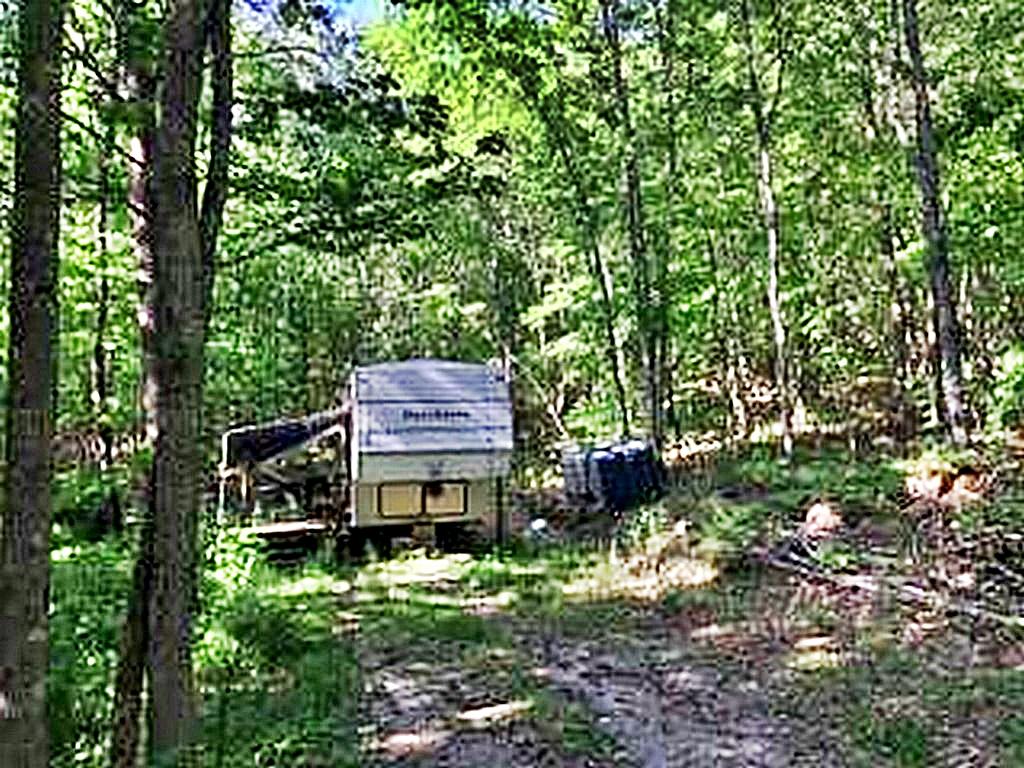 1783 Wasson Road Ten Mile, TN 37880 - Photo 6 of 12 67525