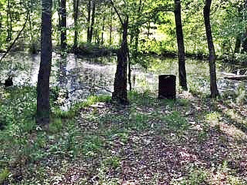 1783 Wasson Road Ten Mile, TN 37880 - Photo 9 of 12 67523