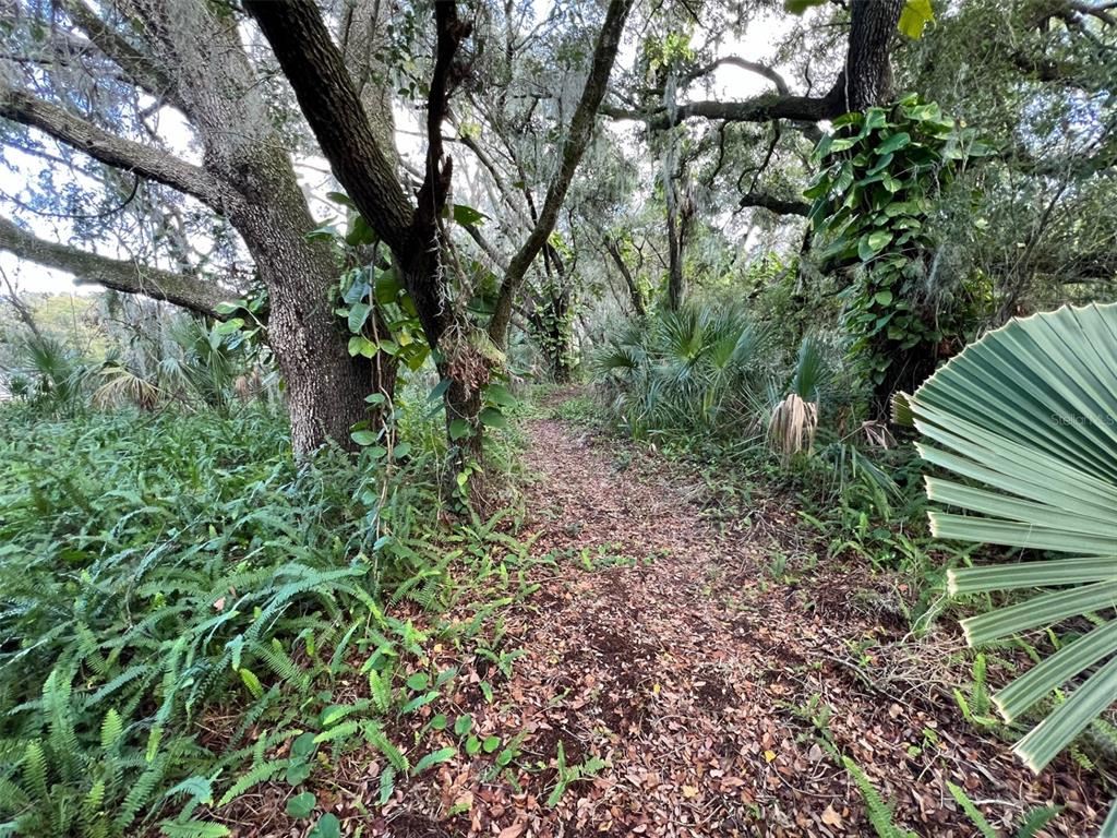 11708 Bullfrog Creek Road Gibsonton, FL 33534 - Photo 50 of 61 Path leading to creek