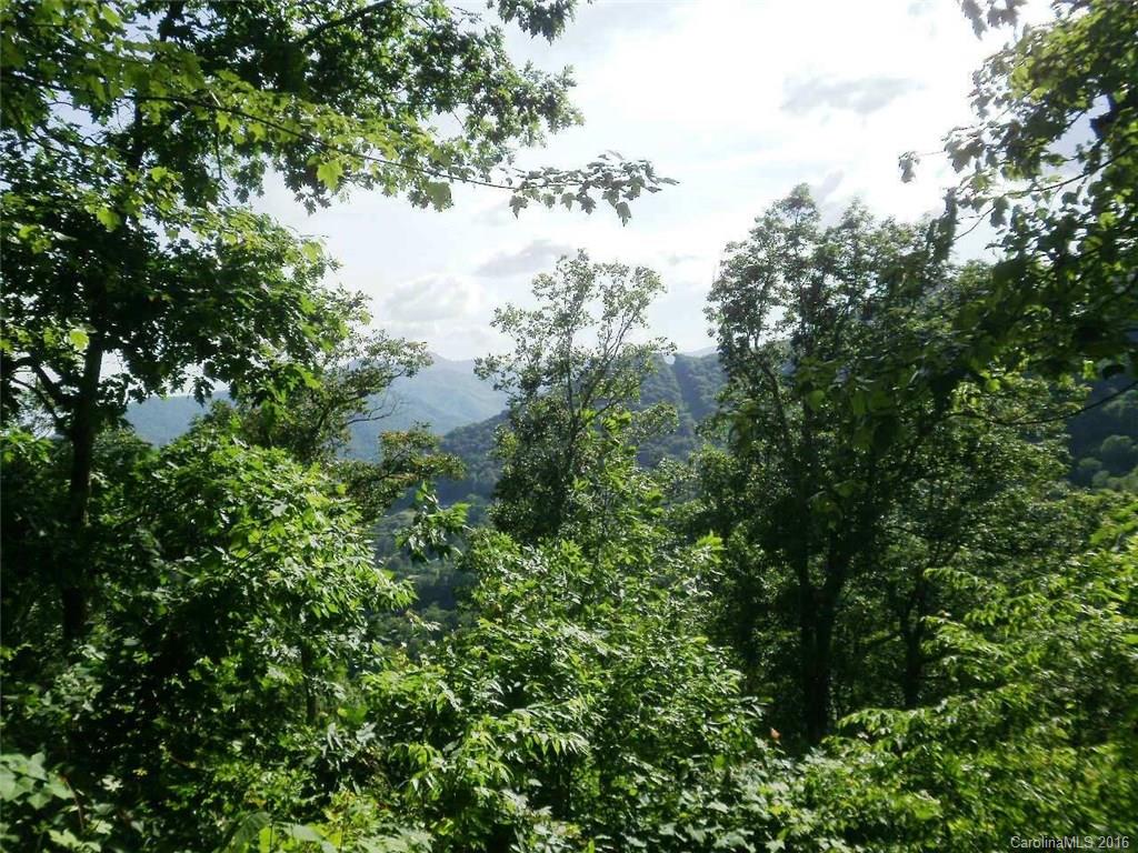 a view of a forest