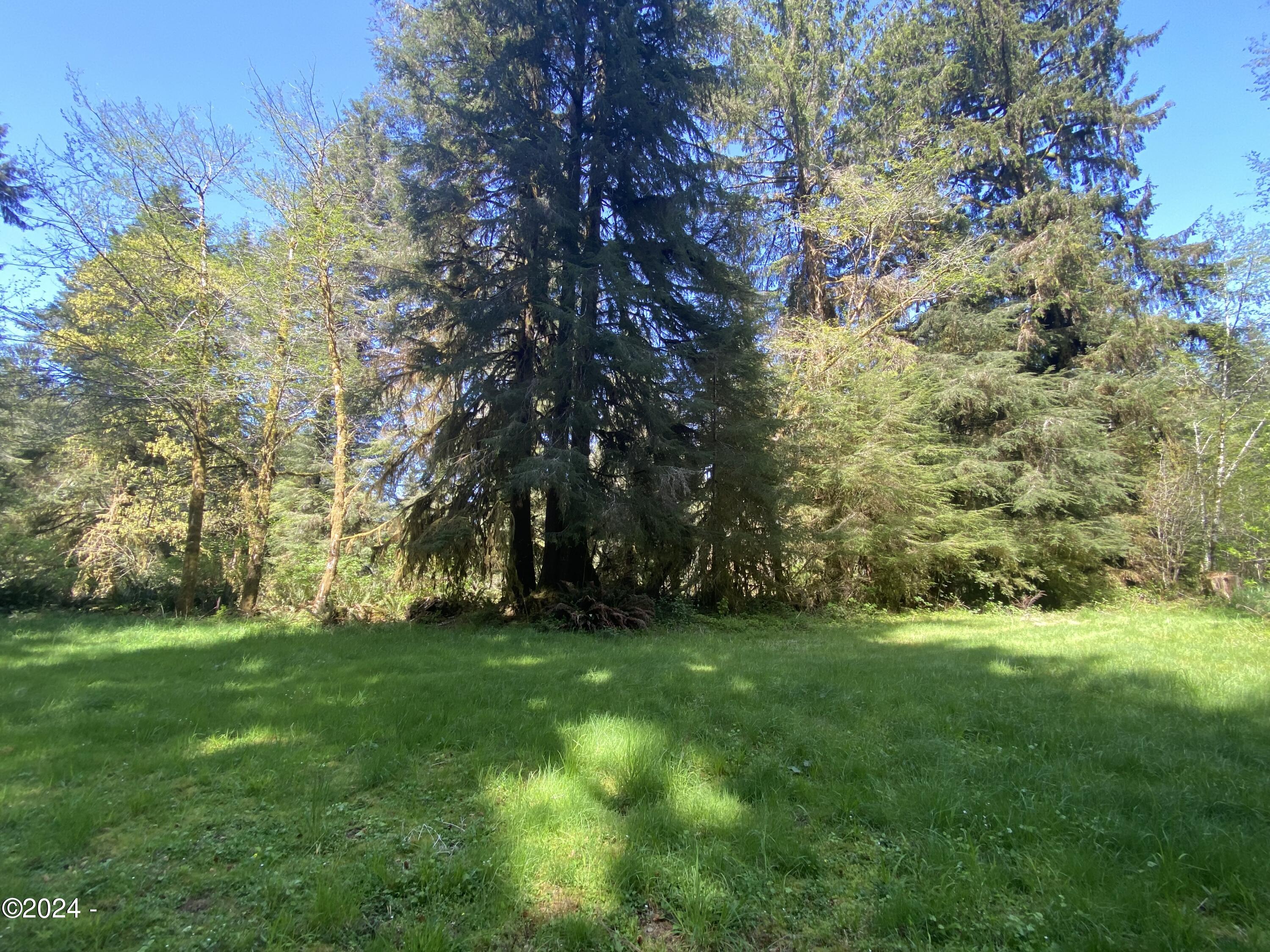 1000 Hamer Road Siletz, OR 97380 - Photo 4 of 11 Possible Homesite