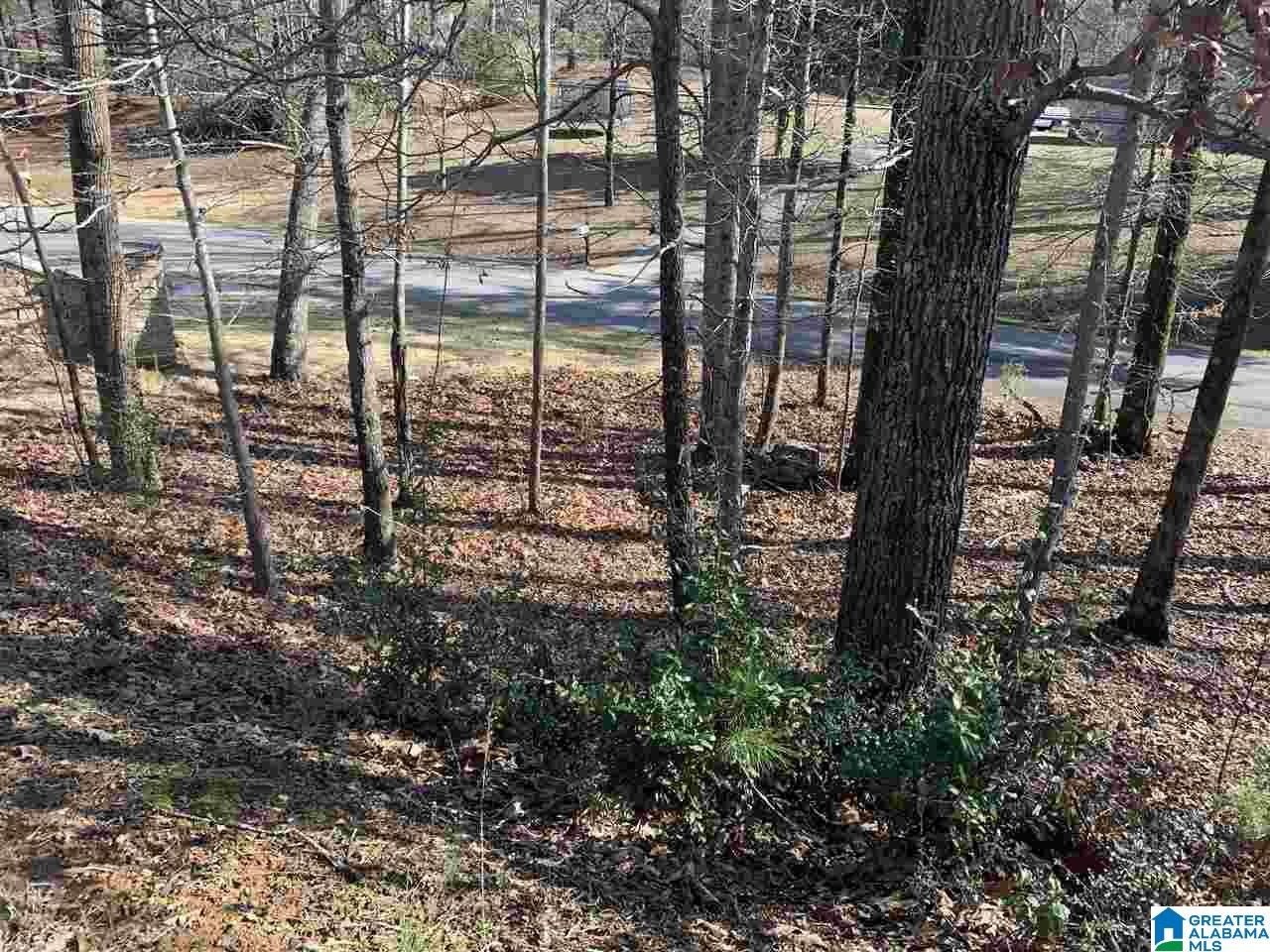 101 Hickory Ridge Road Oneonta, AL 35121 - Photo 34 of 37