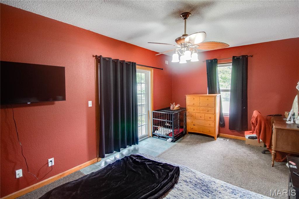 701 East Chestnut Street Gillespie, IL 62033 - Photo 19 of 41