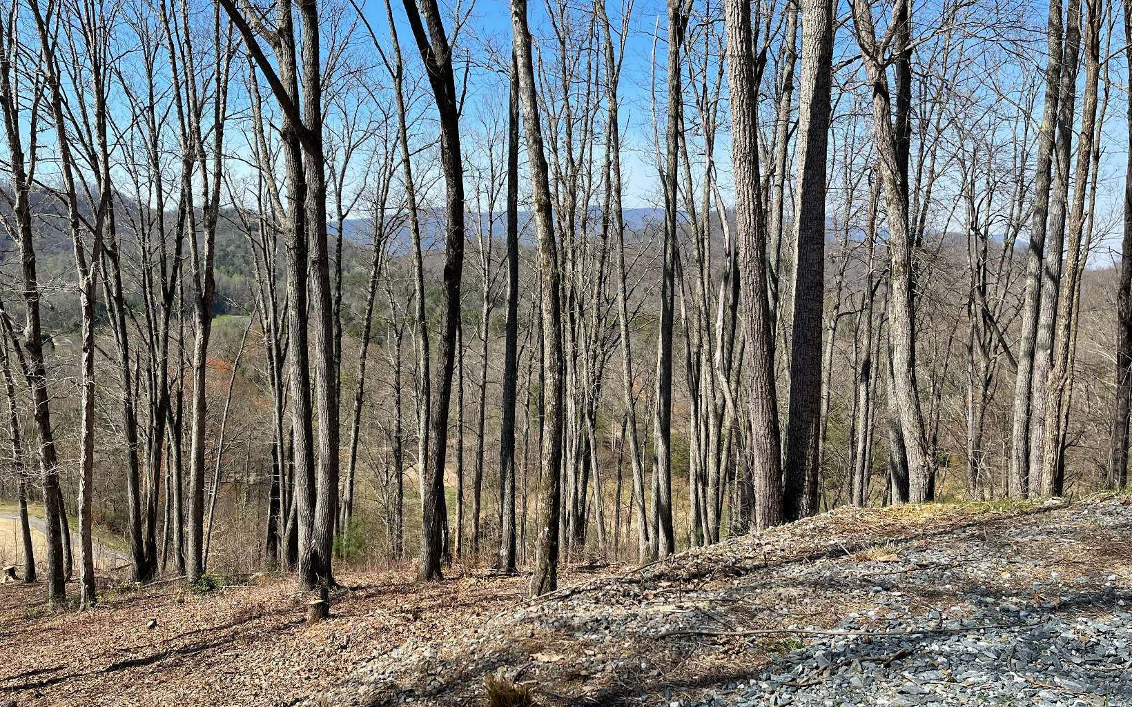 17 M Ridges Hayesville, NC 28904 - Photo 18 of 31 Additional View