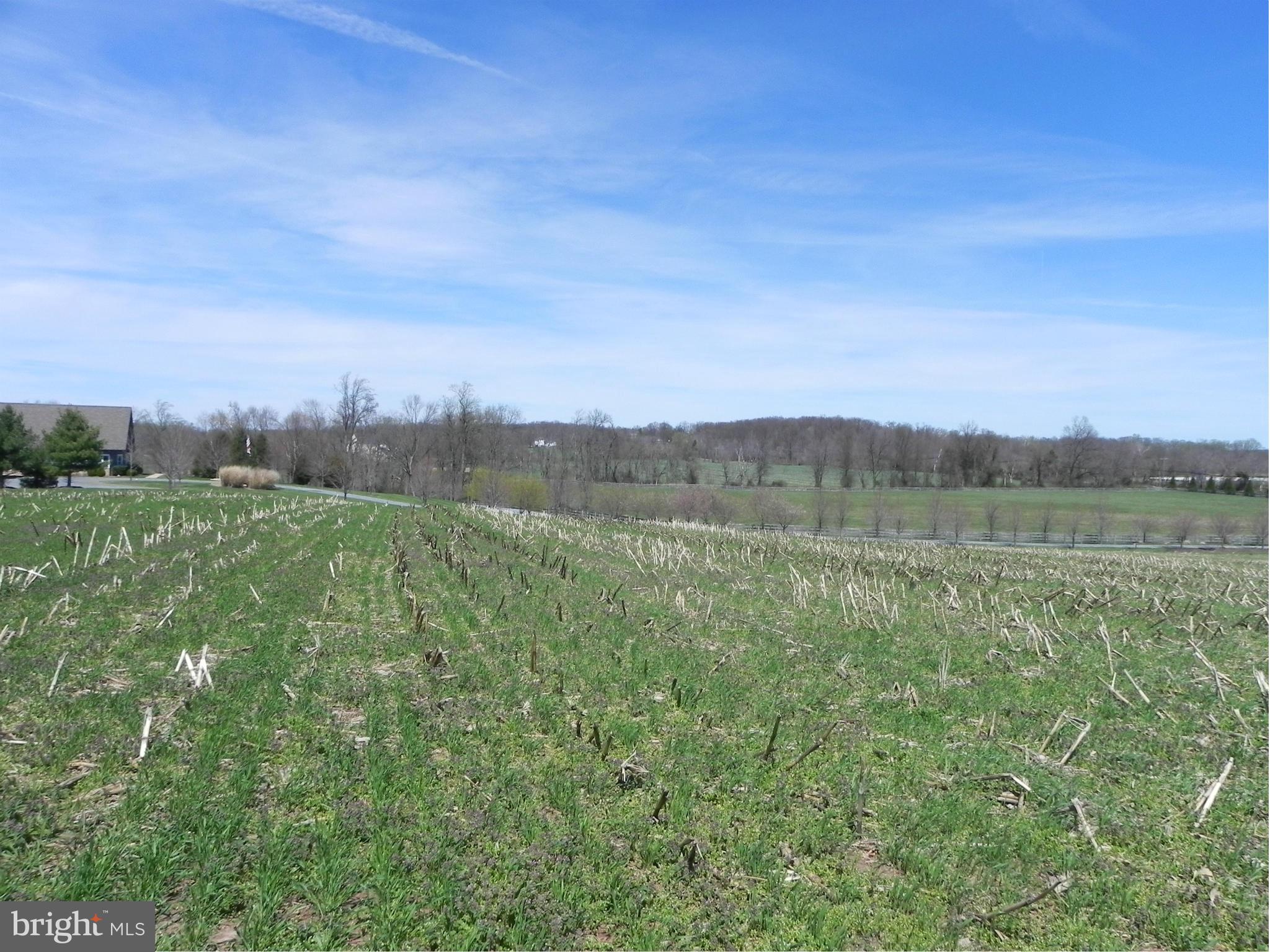 18880 Beallsville Road Poolesville, MD 20837 - Photo 1 of 10 Exterior (General)