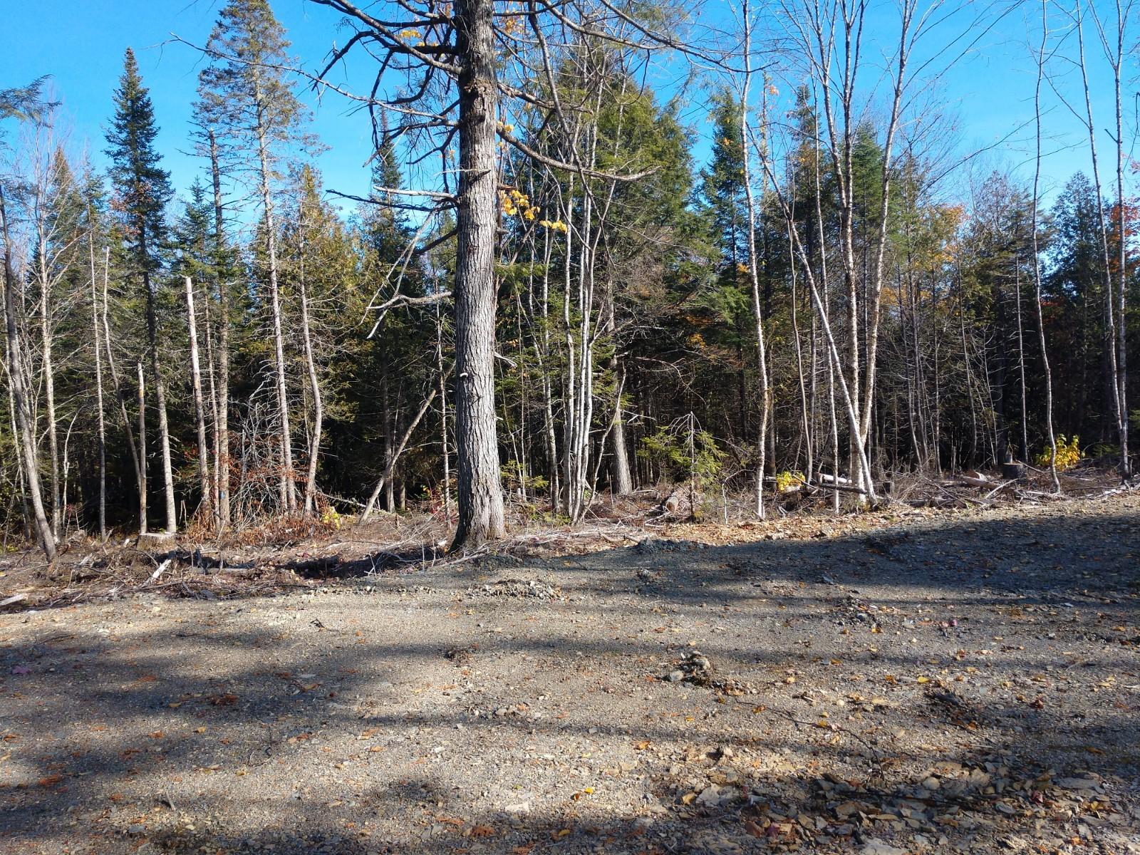 Lot 1 Bottle Lake Road Springfield, ME 04487 - Photo 4 of 11 IMG_20191016_135640541