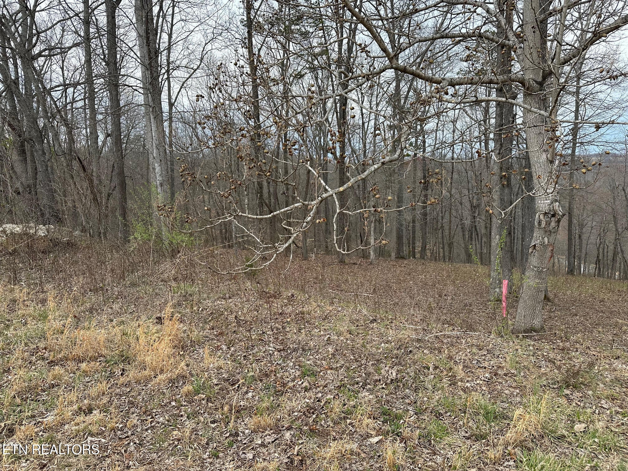 Lot 605 North Two Rivers Lane La Follette, TN 37766 - Photo 11 of 18 Lot 605 14