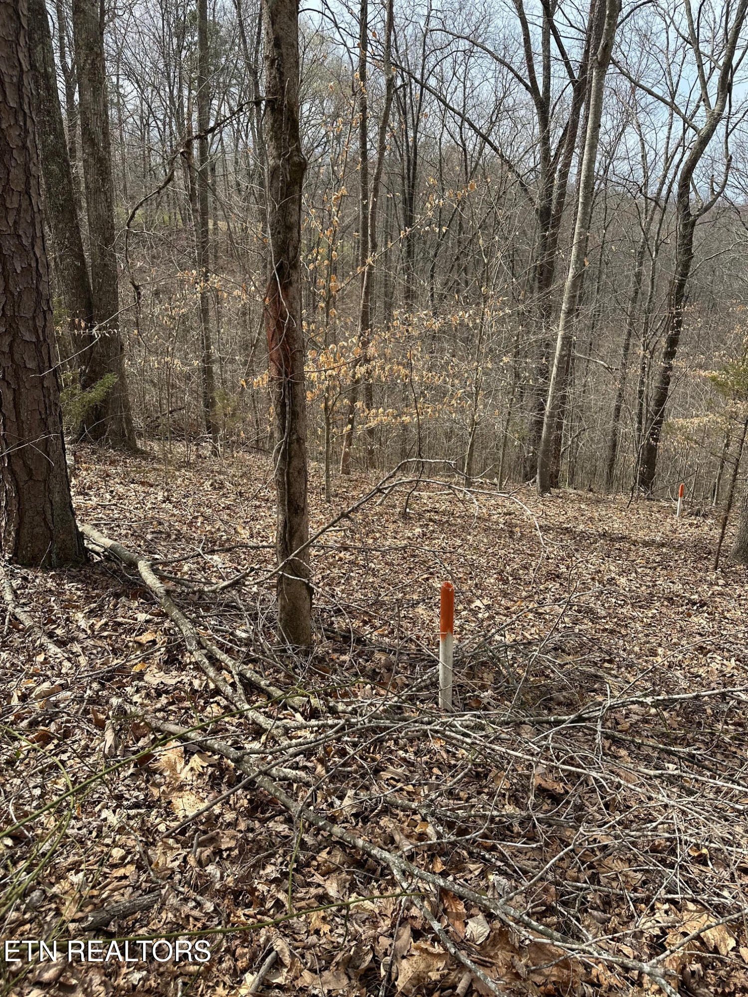 Lot 605 North Two Rivers Lane La Follette, TN 37766 - Photo 12 of 18 Lot 605 13