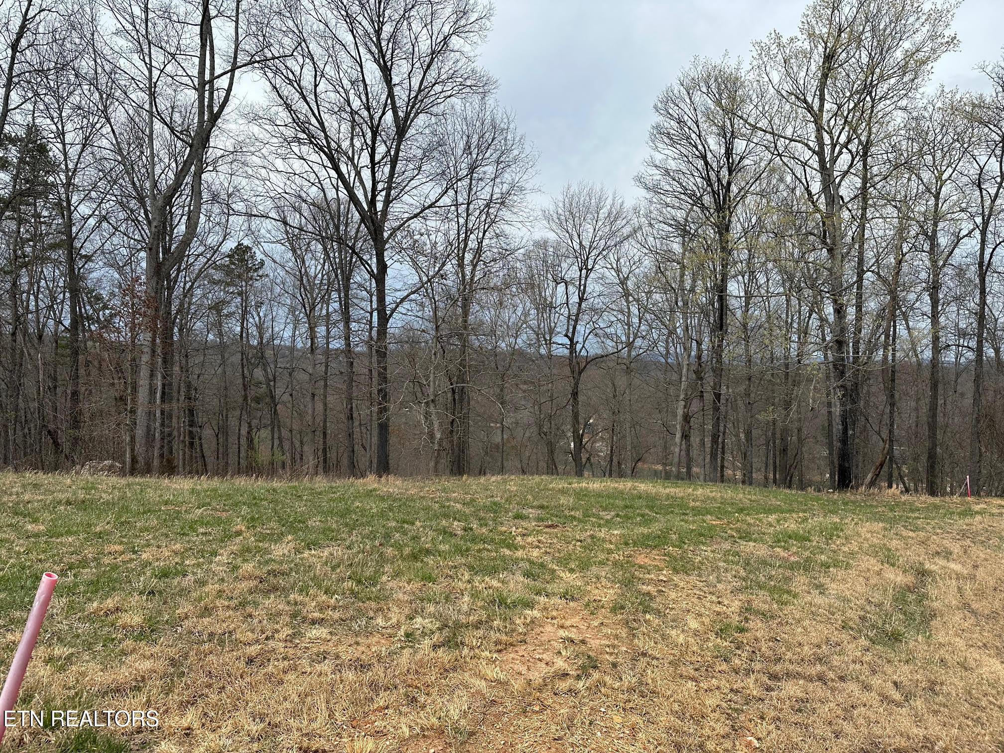 Lot 605 North Two Rivers Lane La Follette, TN 37766 - Photo 3 of 18 Lot 605 10