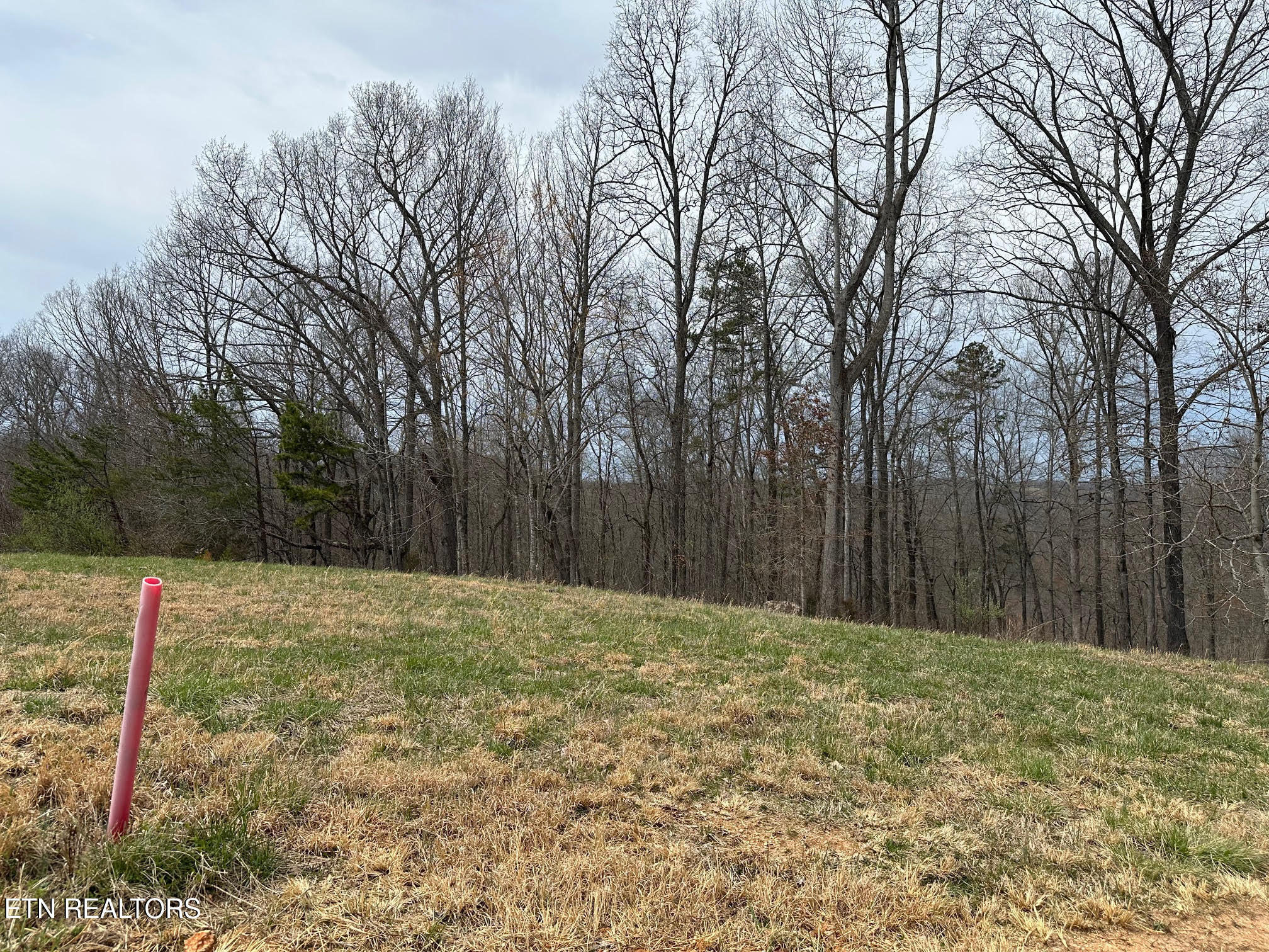 Lot 605 North Two Rivers Lane La Follette, TN 37766 - Photo 4 of 18 Lot 605 11